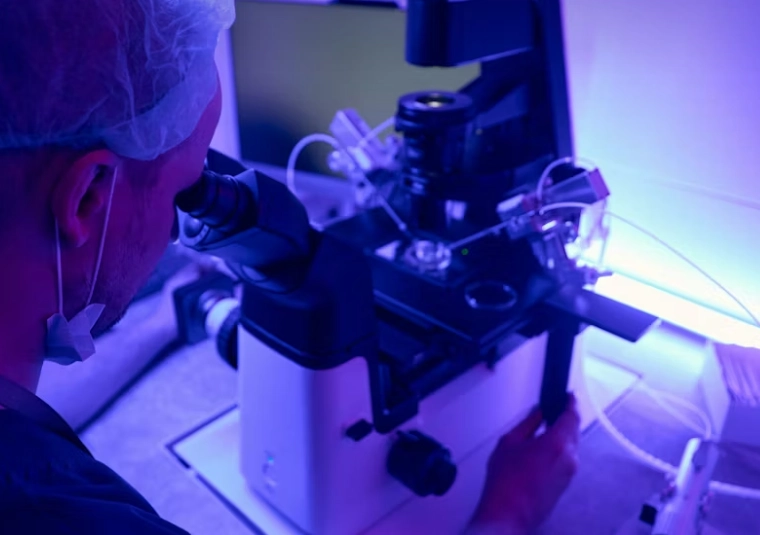 How a Fluorescence Endoscopy Filter Helps Eliminate Stray Light Interference in Advanced Systems
